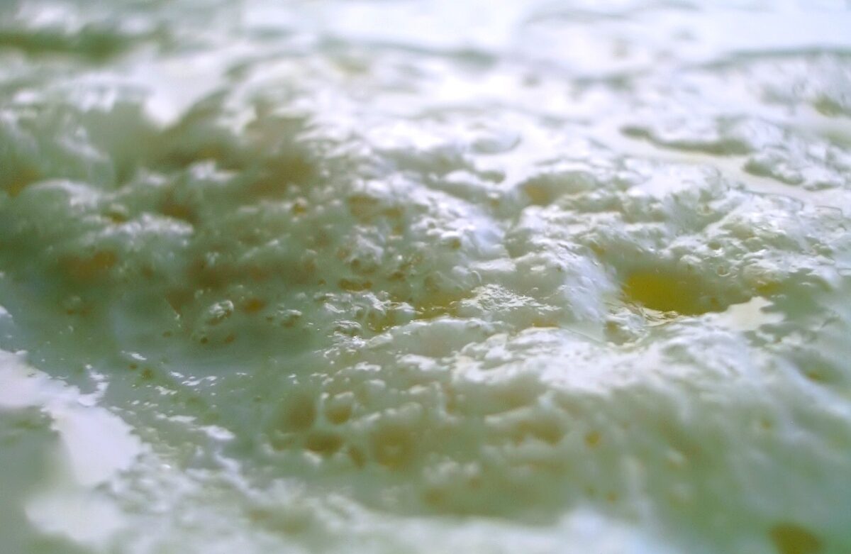 probiotici diabete insulina