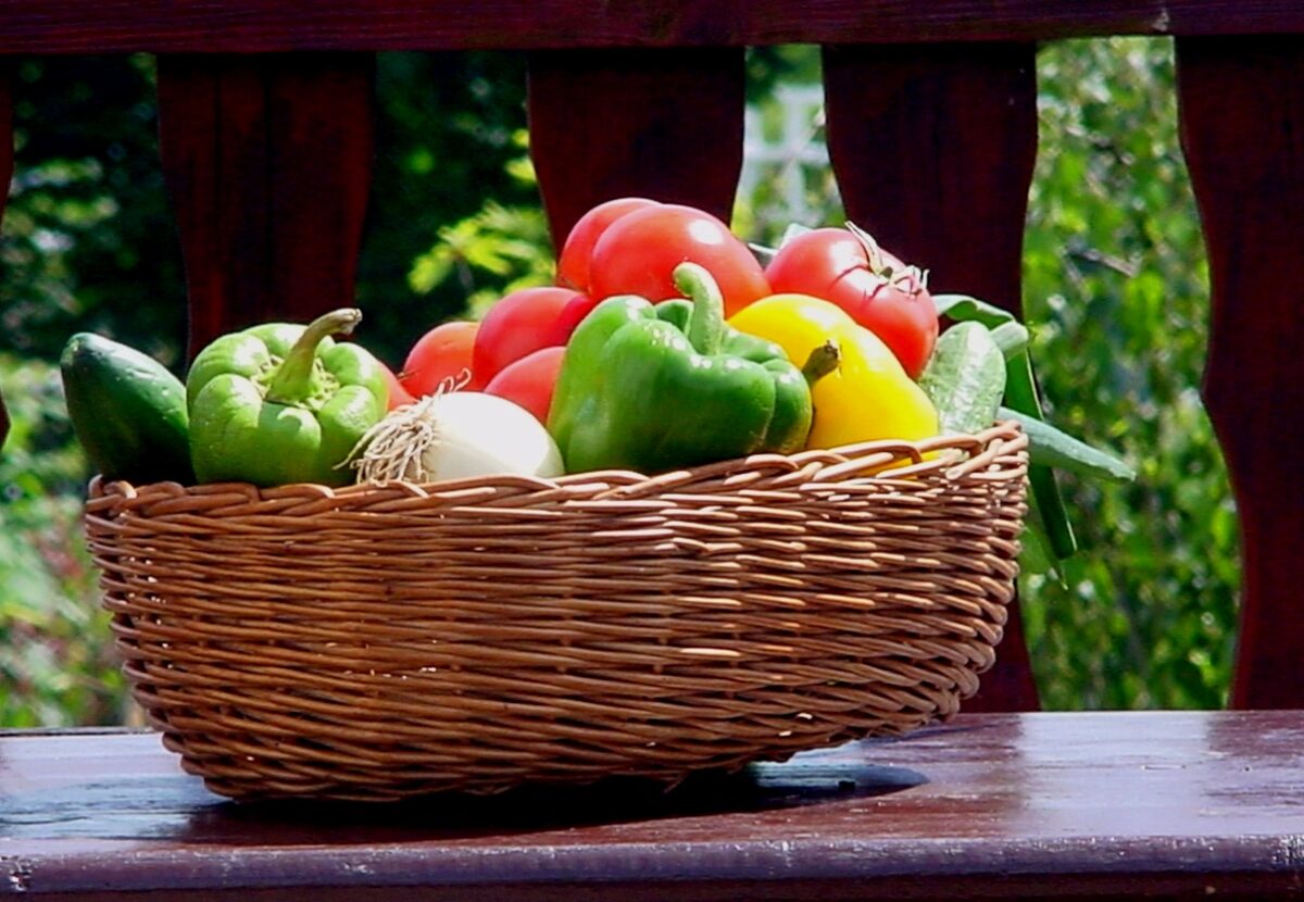 dieta crudista