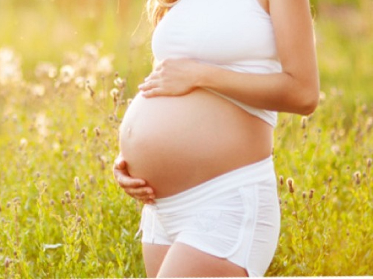 placenta