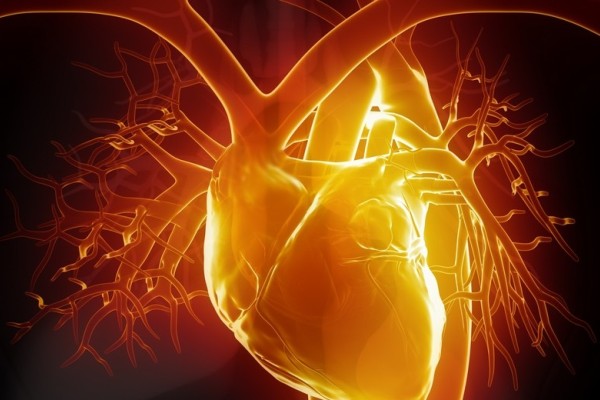 Amiloidosi cardiaca attenzione all’accumulo di proteine nel cuore!